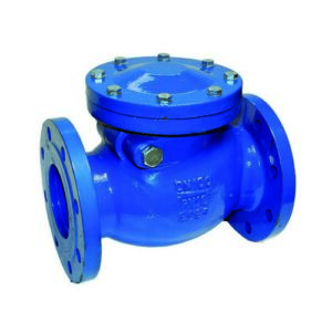 060611 Valvole Di Ritegno Battente Ispezionabili   Dn 65  Int 240 Mm  Ferrari - immagine 1