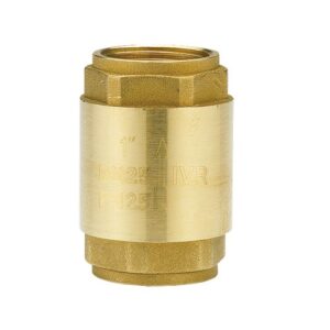 199940001 Valvola di ritegno con otturatore in nylon 4" IVR