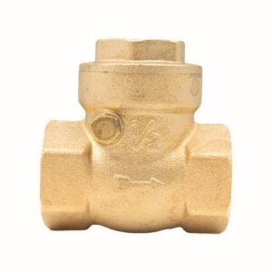 20425 Valvola Ritegno A Clapet 2" Ferrari