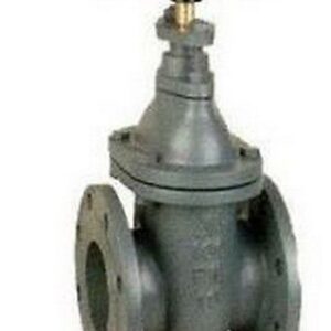 265050 Saracinesca in ghisa corpo piatto PN 10 DN 50 RASTELLI