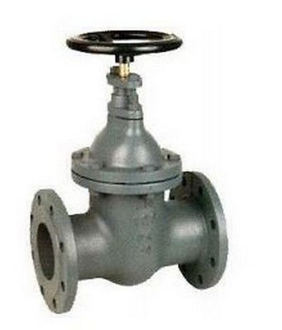 33627_131569_10729488732