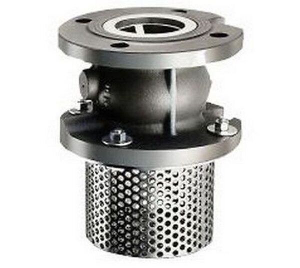 33720_131941_1073383152470