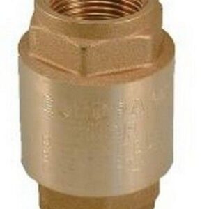 470040 Valvola di non ritorno "Europa" in ottone 1 1/2" RASTELLI