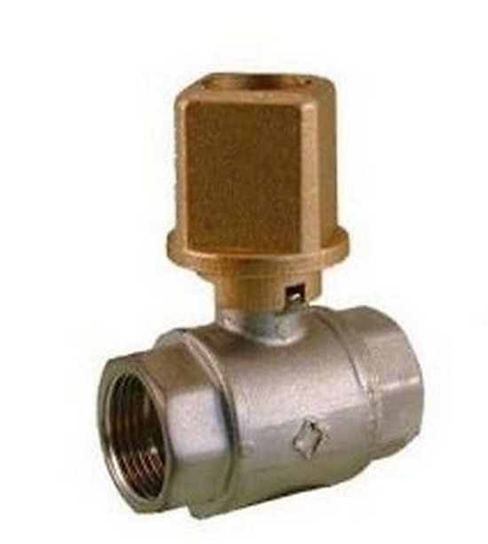 33869_132537_1073812256781