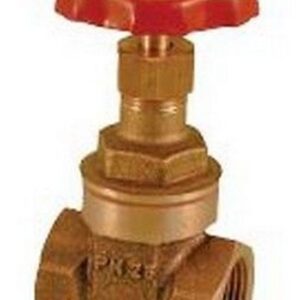 200100 Saracinesca in bronzo tipo extra pesante F x F 4" RASTELLI