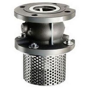 420GH065 Valvola di fondo flangiata in ghisa PN DN RASTELLI