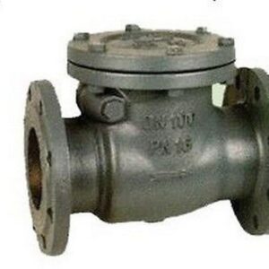 465150 Valvola clapet in ghisa flangiata PN DN RASTELLI