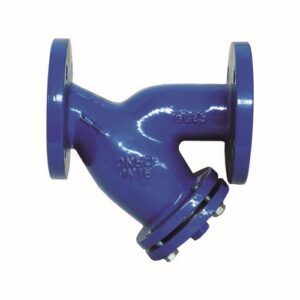 60052 Filtro Acqua A Y Dn80 Pn16 Ferrari - immagine 1