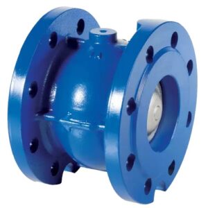 F500205016A00P2 VALVOLA RITEGNO G25 DN50 - 2 TAPPI BRANDONI