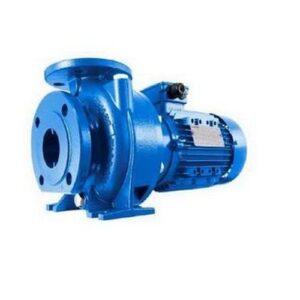 101840160 NSCE Elettropompa centrifuga in ghisa ad aspirazione assiale  LOWARA - immagine 1