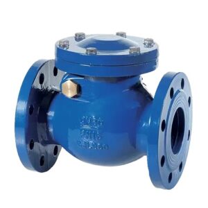 S600004016ANC VALVOLA DI RITEGNO A CLAPET DN 40 BRANDONI