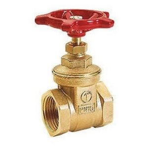 R55 Saracinesca con attacchi F R55Y007 1 1/2" GIACOMINI - immagine 1