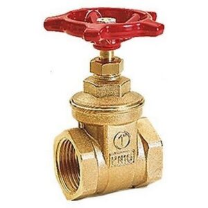 R55 Saracinesca con attacchi F R55Y004 3/4" GIACOMINI - immagine 1