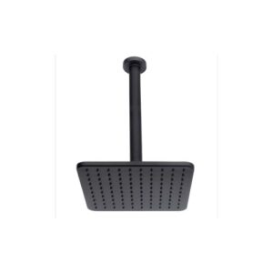 H30597G00073009 Soffione con braccio doccia verticale 230X230 COSMO BOSSINI