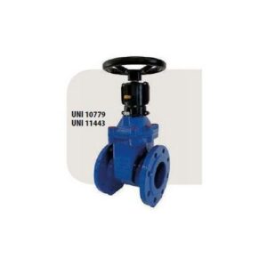 SA002XSA Saracinesca M20 Ghisa Sferoid.C/Volant. Dn200 Ap./Ch. MANFREDI