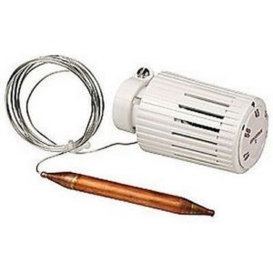 R462L Testa termostatica limitatrice di temperatura R462LX001 2 m GIACOMINI