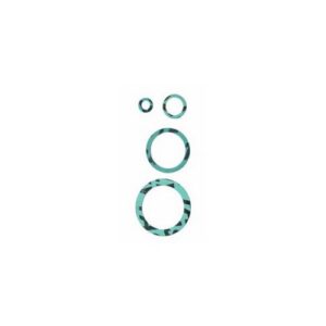 520A12 GUARNIZIONI ECOLOGICHE 1/2 100PZ ZAGI