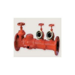 GM136WVE Gruppo Attacco Motopompaflangiato Dn 100 Oriz.2Idranti Art.132 A MANFREDI - immagine 1