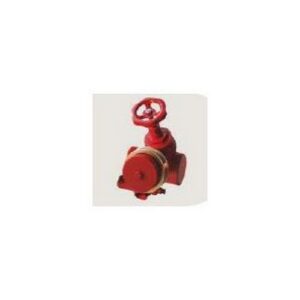 GM181NVE Unita' Slave Attacco Autopompa Di Mandata A Secco 4" X 1 Uni 70 MANFREDI