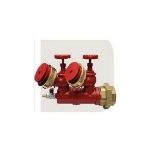 GM191LVE Dry Risen Inlet Attacco Di Mandata Per Autopompa 2"1/2 X 1 MANFREDI