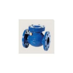 VR003JSA Valvola Di Ritegno Clapet Ghisa S6 - Dn250 MANFREDI